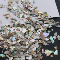 100g/lot Natural Crushed Abalone Shell Mother of Pearl shell for DIY Jewelry Crushed Shell MOP Pearl shell for fake nails