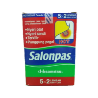 KOYO SALONPAS HOT PEREDA NYERI 1 BOX 10 SACHET 5X2 LEMBAR