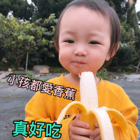 【水果達人】高雄旗山頂級超Q甜香蕉禮盒5斤x2箱(香蕉)