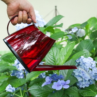 長嘴澆花水壺家用室內灑水壺淋花工具創意彩色透明塑料園藝澆水壺