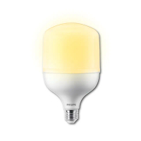 【Philips 飛利浦】4入組 20W LED中低天井燈泡(3000K 黃光 E27燈頭 全電壓)
