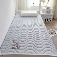 加厚床墊尺寸70x170家用床褥0.9米80x180x60x160x110x190x140大豆款-抗菌床墊-兔兔灰（舒適款）60*160cm