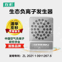 【台灣公司 超低價】左杉負離子發生器小粒徑空氣凈化器