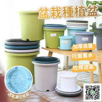 【盆栽種植盆】控根盆 園藝花盆 盆栽容器 托盤底盤 花盆 大花盆 7加侖5加侖 加侖盆 青山盆 特大