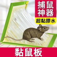 黏鼠板【H033】台灣出貨 居家  老鼠板 捕鼠器 捕老鼠 老鼠板 老鼠夾 老鼠籠 捕鼠器 抓老鼠 老鼠貼 捕鼠神器