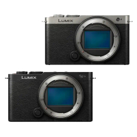 【Panasonic 國際牌】LUMIX DC-S9 BODY 單機身(全片幅 公司貨)