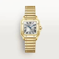 Cartier Santos de Cartier Small model WGSA0107