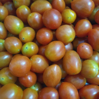 Tomat  cery  Kembang Sembako Pastafresh  Ukuran 500 gram / 1000 gram