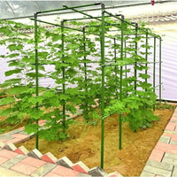 熱賣 爬藤架 葡萄架 黃瓜架 豆角架 種菜架 花支架 花架 庭院花架 陽台花架 包塑管 支撐杆 攀爬架 支撐架