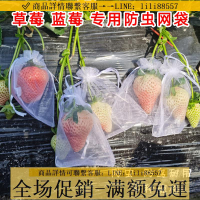 防鳥網~草莓果實套袋水果保護袋防鳥罩防蟲網紗袋透氣番茄黃桃藍莓鳥套網