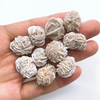 10-20MM Desert Rose Selenite Mineral Specimen Natural Crystal Quartz Stone Energy Healing Home Decor Adenium Obesum Gift