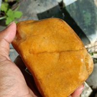 BATU TUNGGAL BELIMBING ACEH 1,7KG