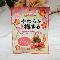 日本 上野 梅肉風味 紀州梅 梅干 梅乾 24g 梅肉丸