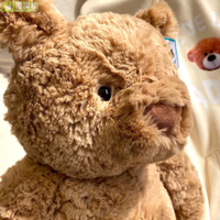 毛絨玩具 禮物 英國JCAT巴塞羅那小熊 玩偶娃娃毛絨玩具 泰迪熊安撫公仔 笨棕熊