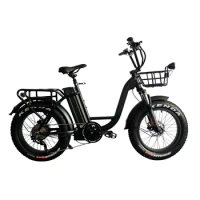 High Capacity Long Range Cargo Electric Bike with 20*4.0 Fat Tire