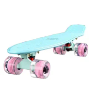 Penny Board Mini Cruiser, Retro Travel Portable Skateboard, Complete Ready to Ride Fish Boards, 22 Inch