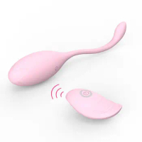 Vibrating Love Egg Bullet Vibrator, Remote Control Panties Vibration Sex Toy, 10 Vibration Modes