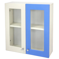 【Aaronation】經典款塑鋼雙開門浴櫃藍白雙色時尚塑鋼雙開浴櫃(GU-C1019-WB)