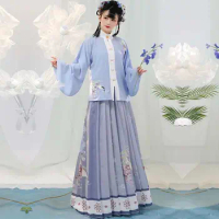 Oriental Fairy Princess Chinese Hanfu Skirt Stage Costumes Flower Embroidery Chinese Costume Standing Placket Outfit Ancient