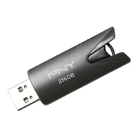 PNY 256GB USB 2.0 Flash Drive Attache