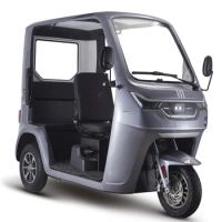 For Oem Adult Electric Tricycle With Elderly Leisure 3 Passenger Seat Cargo Tricycle Mobility Vehiclefor Sale
