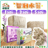 【綠藝家】5A水苔(智利水苔)-1公斤 // 蘭花 鹿角蕨 植生板 苔蘚