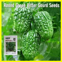5pcs/pack Round Green Bitter Gourd Seeds for Planting Benih Peria Epal Hijau / Round Bitter Gourd Se