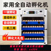 {公司貨 最低價}【廠家直銷】孵化機中小型家用全自動小雞孵化器蘆丁雞孵蛋器雞蛋