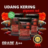 Udang Kering Red Pigment Pakan Ikan Predator Channa Varian RED Maru Asiatica DSB Bukan El Barca