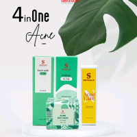 shineskin paket acne radang