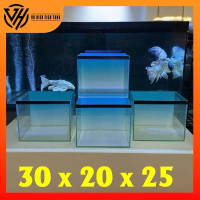 Hồ cá 30x20x25 bả keo đen full kính 5ly