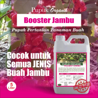 Pupuk booster jambu 5 liter, melebatkan bunga dan buah cocok untuk semua jenis jambu, bibit jambu ai