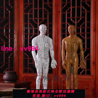 超清晰經絡銅人男人85cm體模型人體經絡模型銅人針灸穴位模型
