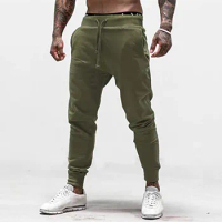 Workout Slim Fit Sweatpants Pants Mens Casual Active Running Cargo Pants Spring Autumn Elastic Clothing Men's Cargo Trousers