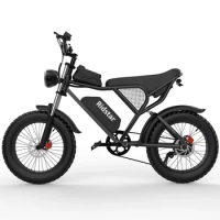 Ridsta Q20 20 Fat Tire 1000w 20Ah 50km/h Electric Motorcycle Adult Electric Bicycle E-bike Customized Electric Mountain Bike