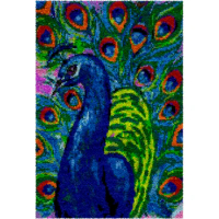 Latch hook rug kits for adults with Preprinted Canvas Peacock Pattern Rug making kits do it yourself Carpet crochet for adult
