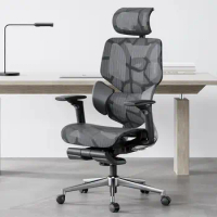 Hbada ergonomic office chair with elastic lumbar support, high-density mesh, back height adjustment, 3D armrests and footrest