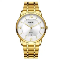 Jam Tangan Wanita Halei HI2493 Include Garansi Mesin 12 Bulan Tali Rantai Stainless Stell Kaca Safir