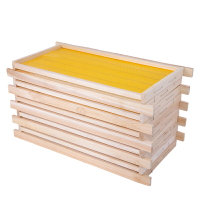 蜂箱 成品巢框帶框巢礎八千蜂巢中蜂意蜂杉木巢基蜜蜂巢脾巢皮蜂箱養蜂【MJ18039】