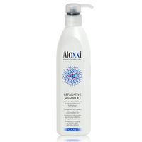 耐克斯＊Aloxxi寶王高蛋白洗髮精300ml/重整髮絲結構