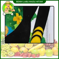 Benih Buah Buahan Semangka Strawberi Melon Labu Benih Bibit Murah Berkualitas Labu Madu Hitam