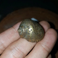 Koleksi keong buntet kaligrafi bahan kuningan