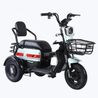 Chinese manufacturer factory sells electric tricycles, small high-equipped adult batteries, 1000 watts tricycles