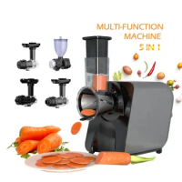 5 in 1 chopping vegetables coffee slow juicer with big mouth Mouth Cold Press Slow Masticating Squeezing Fruit Juicer