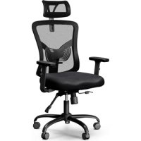 Computer Chair Ergonomic Office Chair, with 2'' Adjustable Lumbar Support, Headrest, Office Chair Backrest 135° Freely Locking