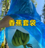 紗網袋 水果套袋 防蟲網 香蕉套袋芭蕉專用套袋防蟲連體一體袋保溫保護袋薄膜罩束袋套雙層『ZW4866』