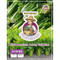 Bibit Premium Celery Tall Utah | Benih Seledri Batang Besar | Seledri Jumbo