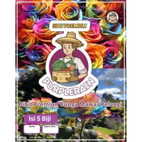 Bibit Premium Bunga Pelangi | Benih Bunga Mawar Rainbow| Rainbow Rose
