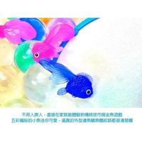 【Fun心玩】[8折] 夜市撈魚 一包(25入+魚網*1) 撈魚 遊戲 祈福 日本廟會 超可愛 小金魚 4cm 洗澡 玩具 懷舊童玩