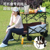 限時下殺！【免運】【麥居系列】露營車 推車 貨車 小推車 擺攤車 露營車遮陽棚營地車后開便攜戶外手推野餐野營小推車【八折下殺】【限時減免】【可開發票】